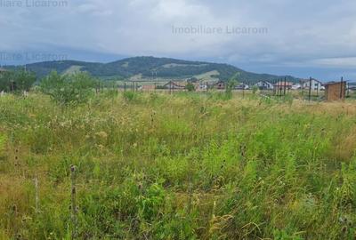 Teren Construcții extravilan de 502 mp, în Hărman - 6