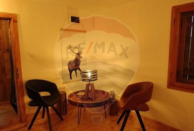 Casa de vacanta la munte de vanzare - 3