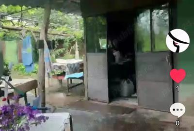 Casă cu 6 camere cu Teren 3365 Mp în Constantin Brâncoveanu - 4