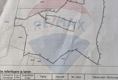 Teren agricol extravilan de 128948 mp, în Munteni - 12