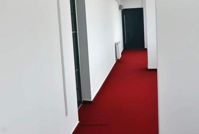 Penthouse lux, 3 camere, terasa panoramica, 300 mpc. - 20