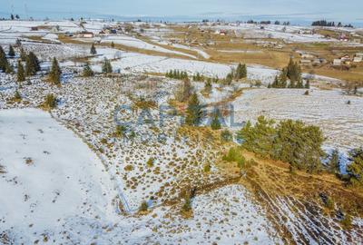 Oportunitate de investitie! 1,06 Hectare Teren Intravilan In Marisel - 8