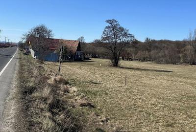 Teren de 9680 mp, în Deda - 2