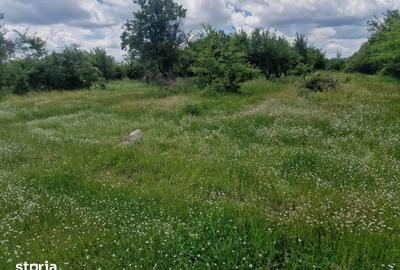 Teren de 3006 mp, în Mărășești - 6