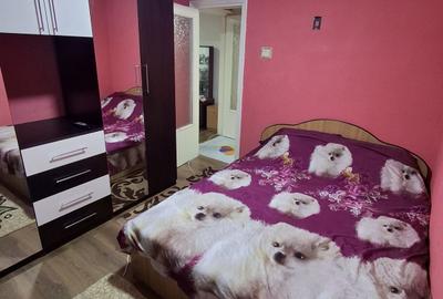 Apartament cu 2 camere semidecomandat în Viziru 1 - 8