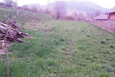 Teren Alexandru cel Bun - 1