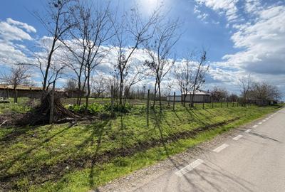 Teren Construcții intravilan de 1000 mp, în Mihai Viteazu - 4