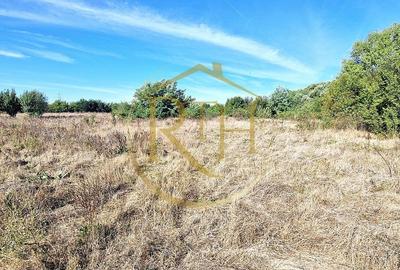 Teren de vânzare - 11.273 mp - zona Plopi, Timișoara Sud. - 1