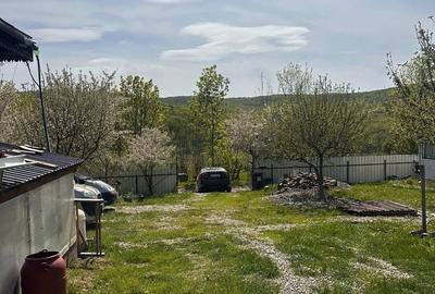 Casă cu 3 camere cu Teren 13000 Mp în Central - 13