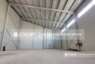 Hala de vanzare, zona Mogosoaia, 1500mp, ID 15424, - 2