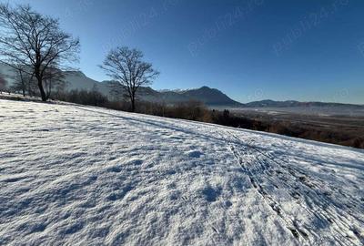 Teren intravilan intre 500 si 1000 mp cu vedere panoramica in zona Bran Tohanita - 9