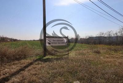 Teren de 7800 mp, în Târgșoru Nou - 3