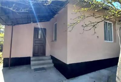 Casă cu 4 camere cu Teren 3600 Mp în Iliești - 1