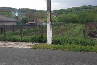 Teren de 1625 mp, în Șmig - 1