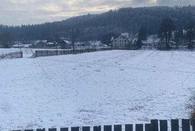 Teren de 6000 mp, în Central - 4