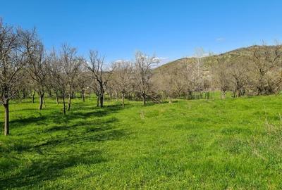 Teren de 5407 mp, în Valea Mică - 6