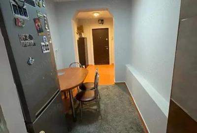 Apartament cu 2 camere decomandat în Valea Rosie - 10