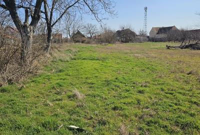 Casă cu 3 camere în Comloșu Mare - 4