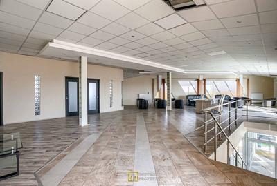 Spațiu comercial, de 123 mp, în Horia - 3