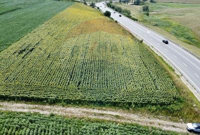 Teren agricol extravilan de 3500 mp, în Ilișești - 13