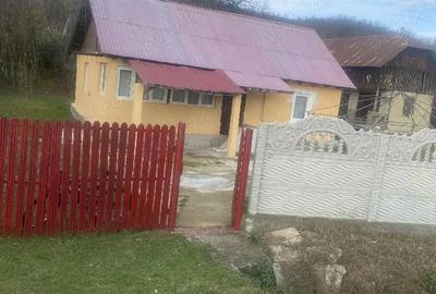 Casă cu 2 camere în Vâlcănești
