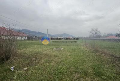 Teren de 1200 mp, în Vad - 5