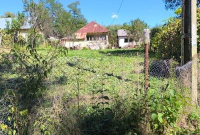 Casă în sat Ursoaia, com. Peșceana, jud. Vâlcea - 15