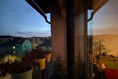 Apartament cu 3 camere/vedere superba catre Mun?ii Igni? - 13