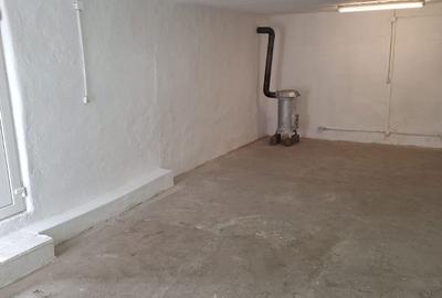 Spațiu comercial, de 110 mp, în Lotrioara - 6