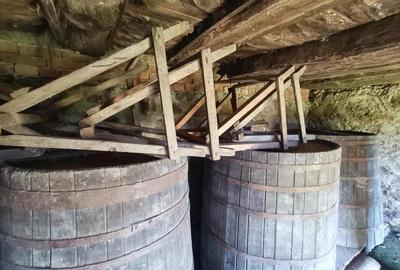 Descopera casu?a ta de vis la poalele Mun?ilor Apuseni - 15