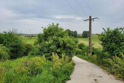 Casă cu 4 camere în Câmpina - 1
