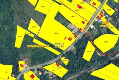 Teren de 2300 mp, în Păușești - 4