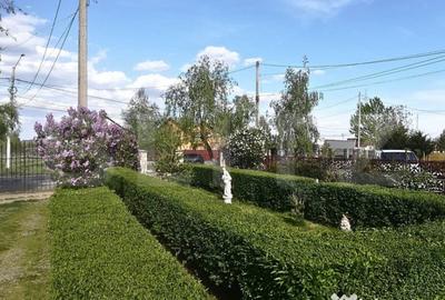 Casă cu 5 camere cu Teren 3000 Mp în Central