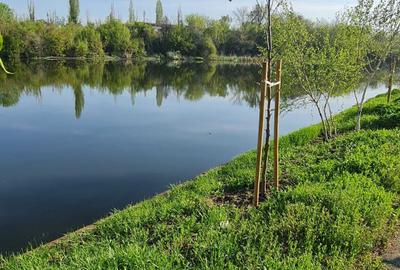 Teren de 3250 mp, în Colentina - 2