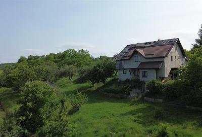 Teren Construcții intravilan de 4863 mp, în Adâncata - 7