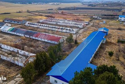 Spațiu comercial, de 800 mp, în Traian - 15