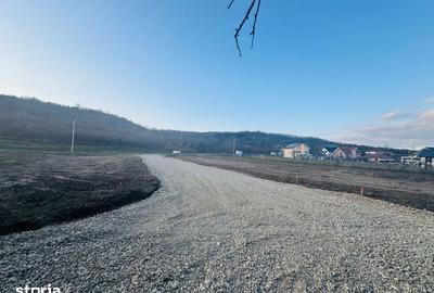 Teren de 658 mp, în Podgoria - 4