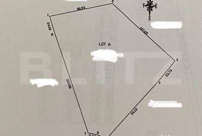 Teren de 15204 mp, în Dobrovăț - 1