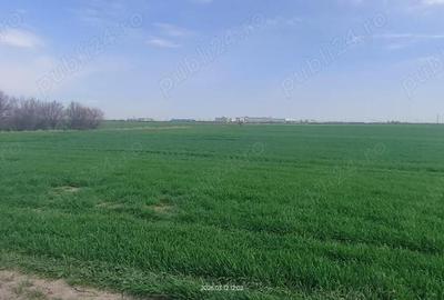 Teren de 15000 mp, în Aradului