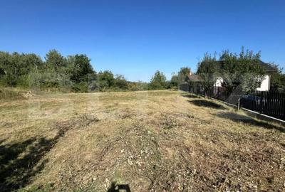 Teren de 925 mp, în Central