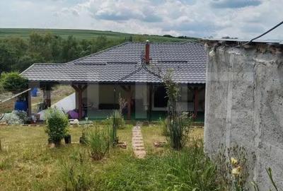 Casă cu Teren 1600 Mp în Cerghid - 6