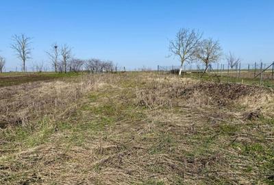 Spațiu comercial, în Cerna - 1