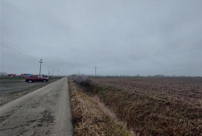 Ocazie!!! Teren pentru hala sau parcare, zona Hanul de la Rascruce! - 4