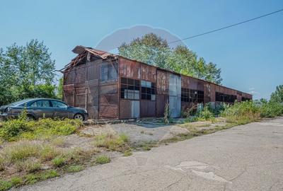 Spațiu industrial, de 12,000 mp, în Periferie - 21