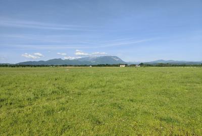 Teren Construcții intravilan de 1000 mp, în Glăjărie - 3