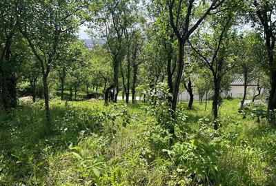 Parcela de 8,86 ari zona Valea Rosie - 5