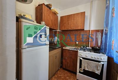 Apartament cu 2 camere nedecomandat, mobilat în Șagului - 10