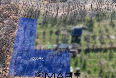 Teren de 4000 mp, în Sadu - 2