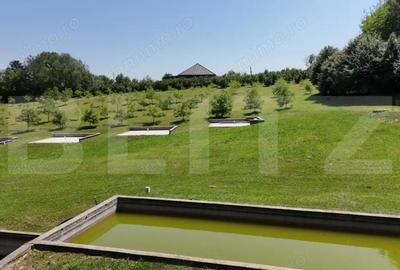 Spațiu comercial, de 56 mp, în Central - 6