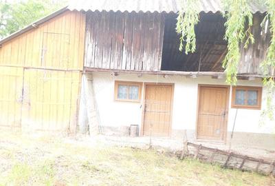 Casă cu 5 camere în Dumitrești - 2